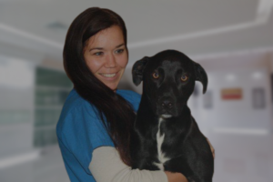 Rachel Moore Licensed Veterinary technician Seatown Vet