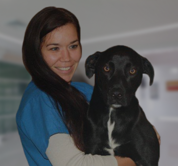 Rachel Seatown Veterinary Care