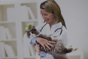 Dr. Kari Emery Seatown Veterinary Hospital