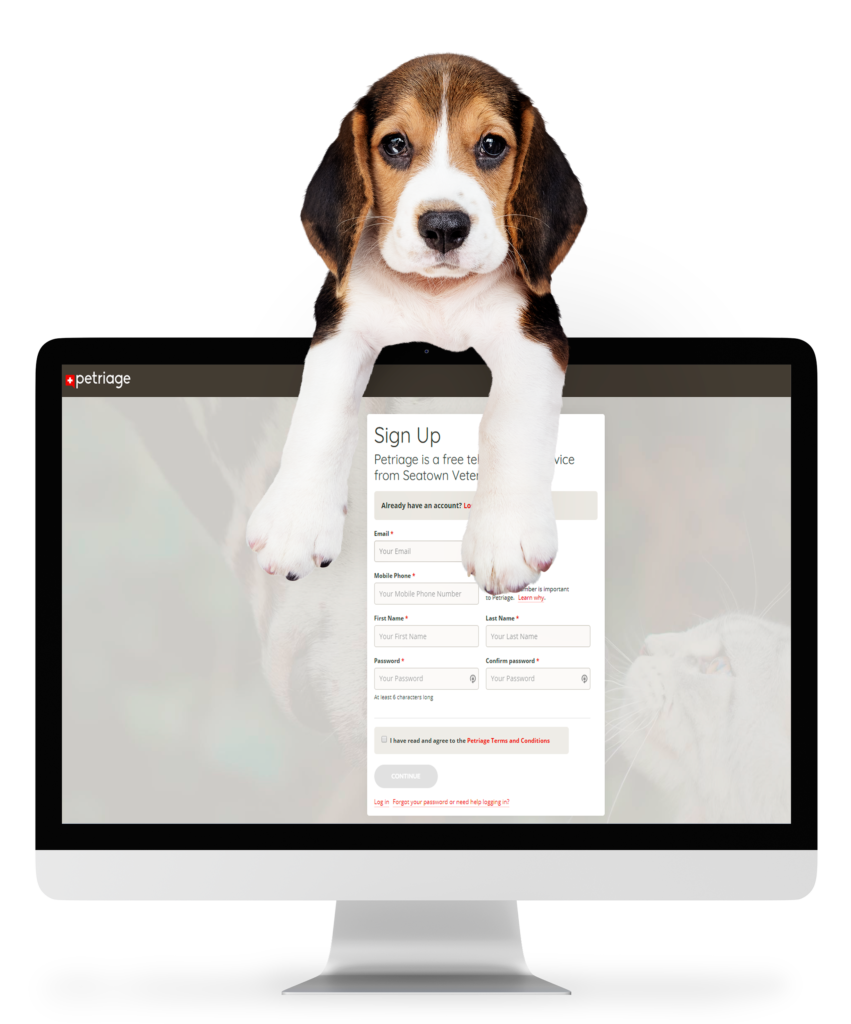 Seatown-Vet-partners-with-Petriage