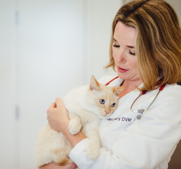 Dr. Kari Emery, DVM Seatown Veterinary Care